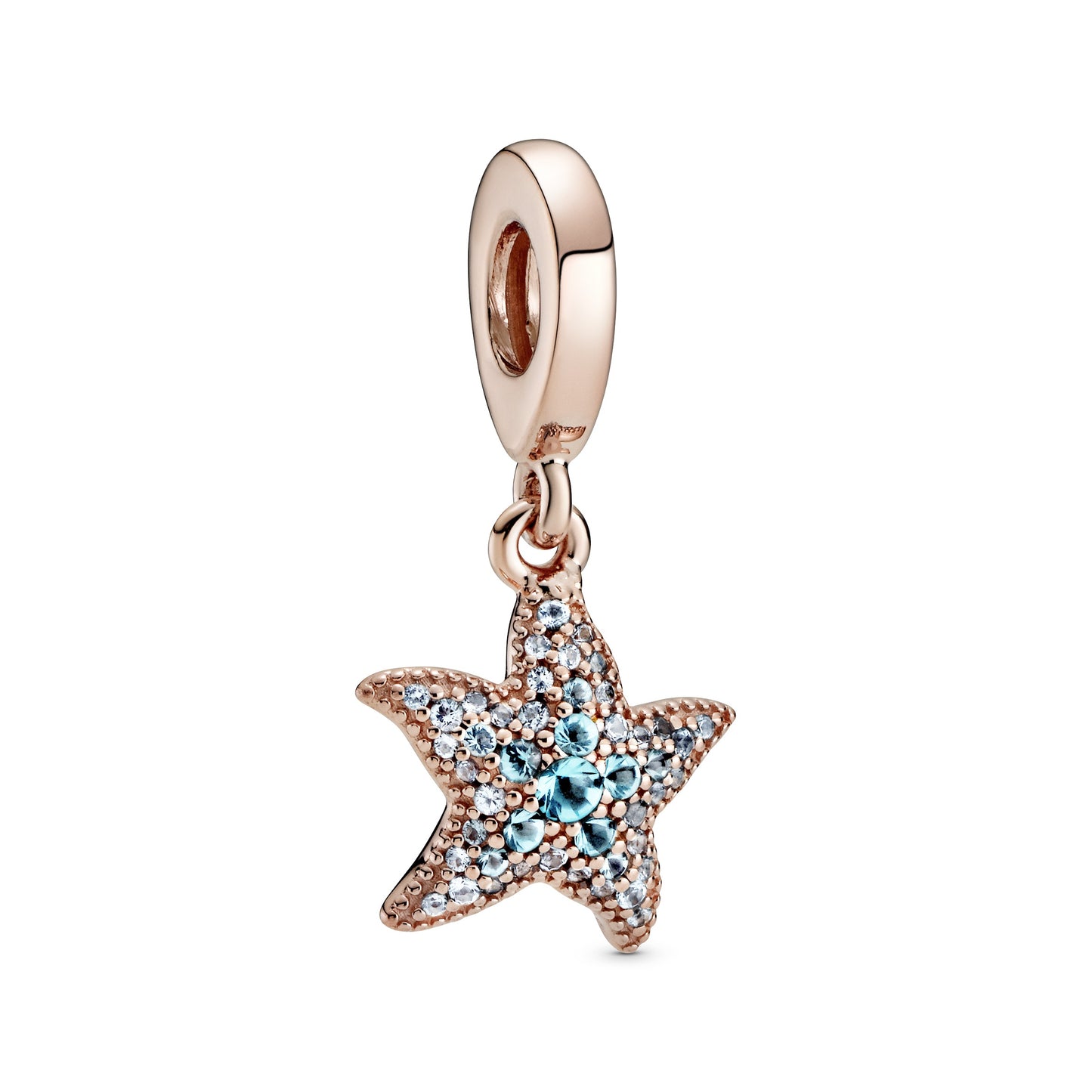 Charm Estrela do Mar  - 788942C01