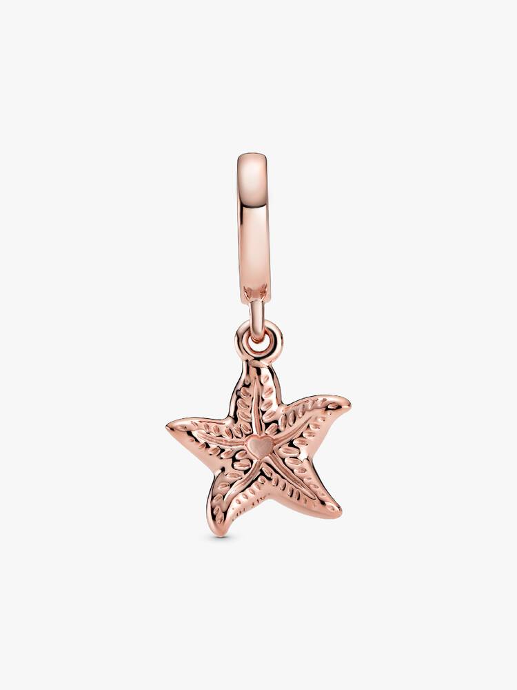 Charm Estrela do Mar  - 788942C01