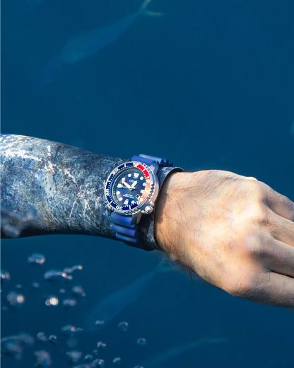 Promaster Dive - Modelo BN0168-06L