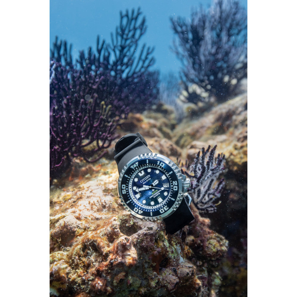 Promaster Dive E365 - Modelo BN1025-08L