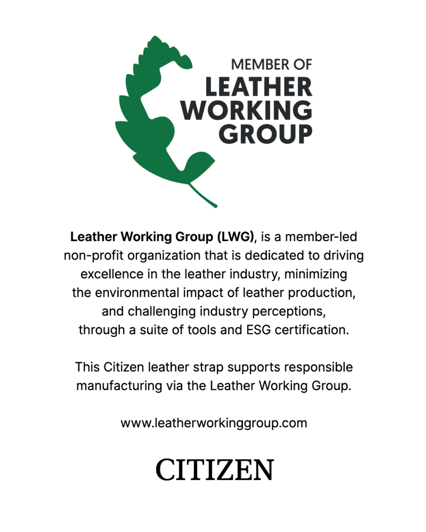 Promaster Skyhawk A-T - Modelo JY8148-08L