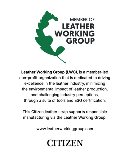 Promaster Skyhawk A-T - Modelo JY8148-08L